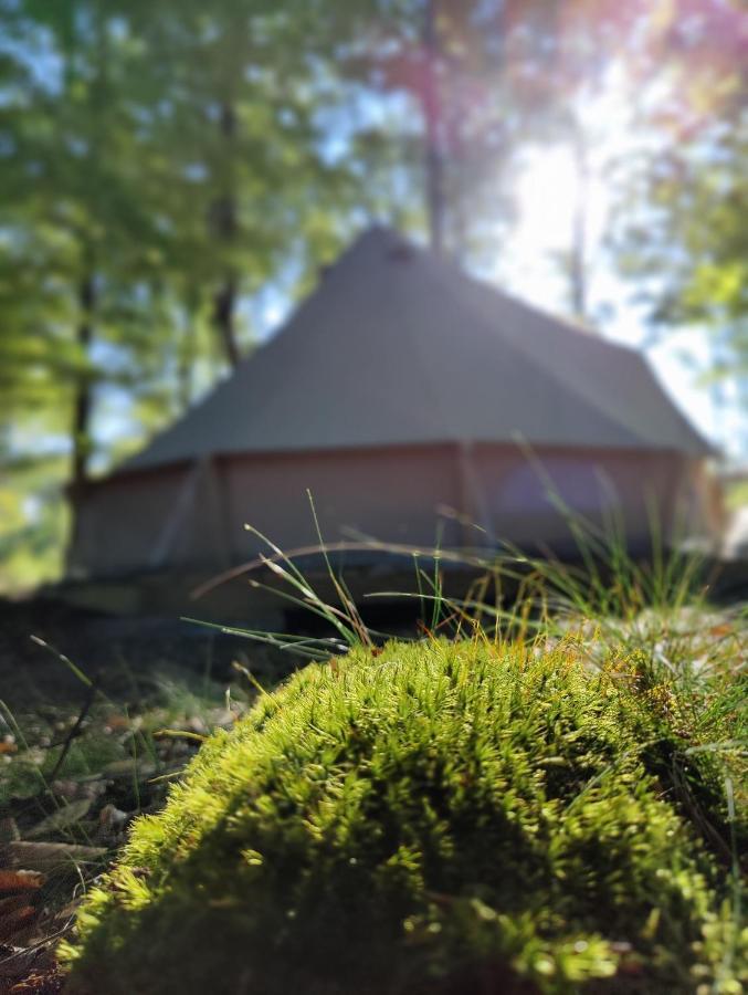 Luxury tent Naturglamping *